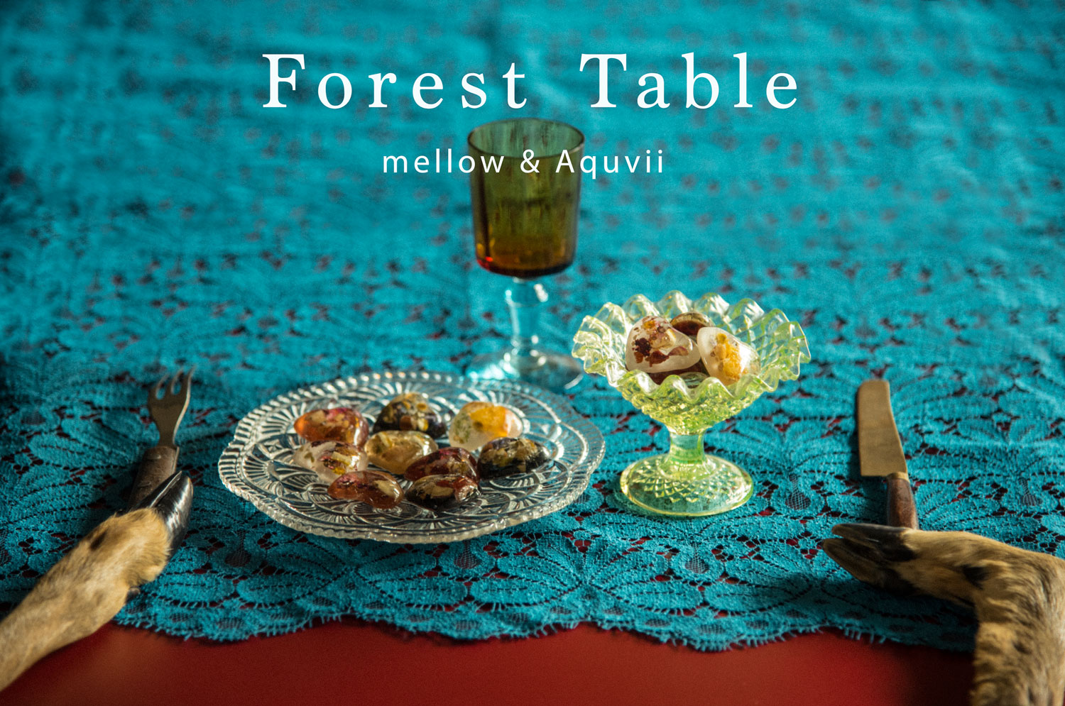 【 Forest Table 】mellow×Aquvii １日限りの食堂に参加